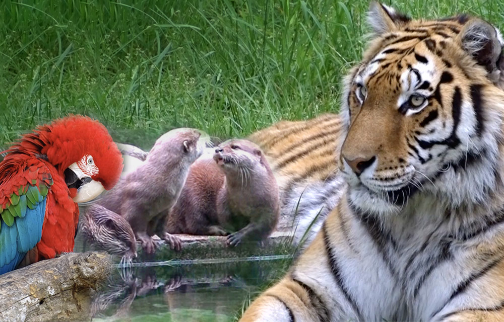 07 - Le parc animalier de Paugres